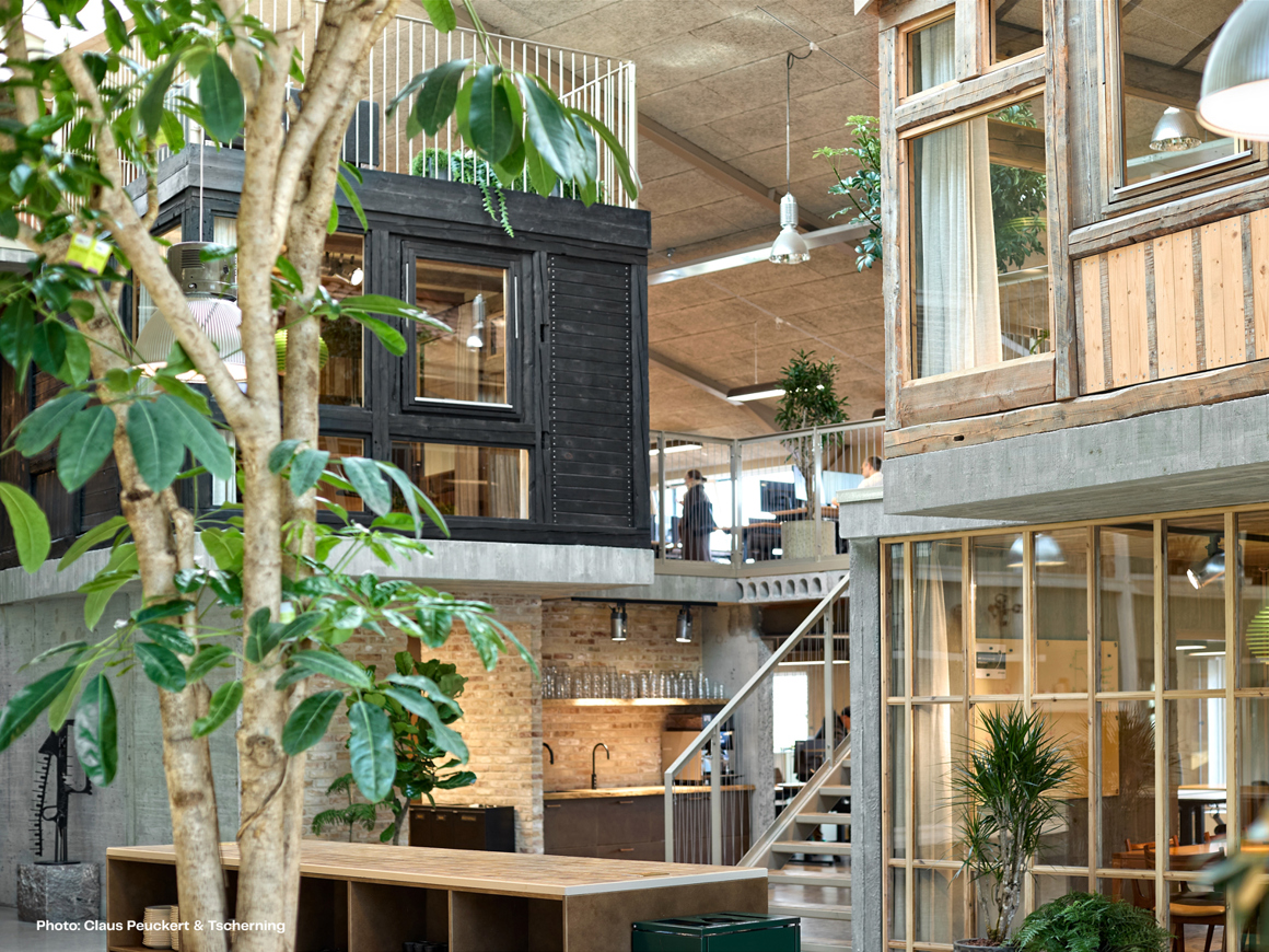 Hal Efter Odin Og Thor 1 Web 04 Credited