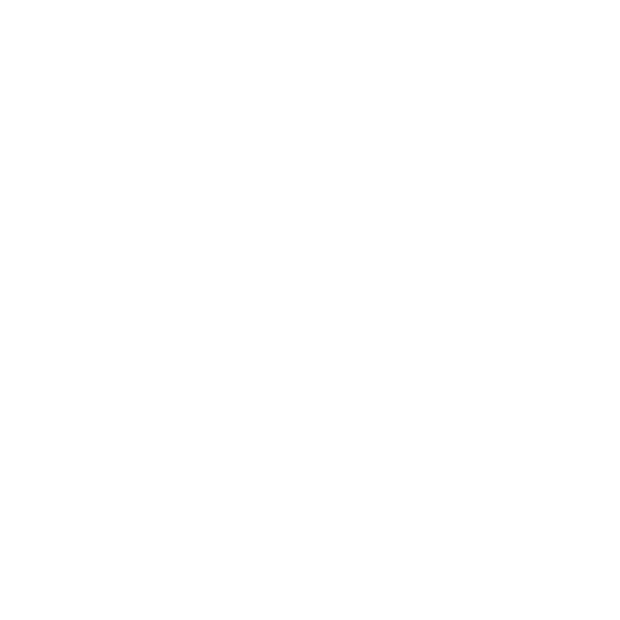 Icon Calendar White