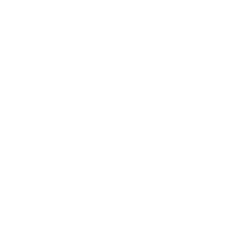 Icon Location White